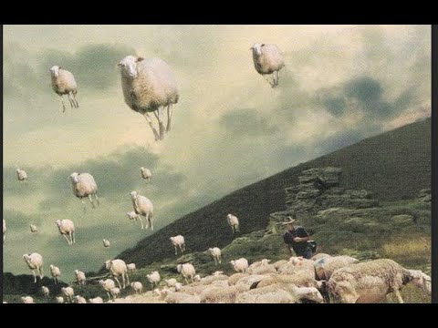 Youtube: PINK FLOYD Sheep (film clips and lyrics)