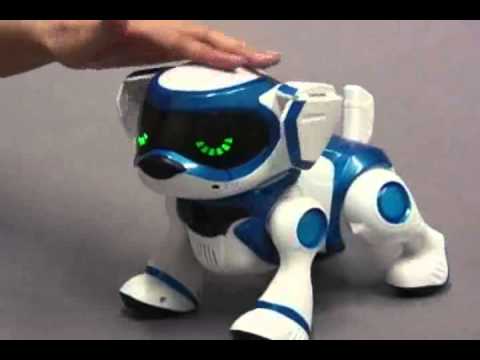 Youtube: Smyths Toys - Teksta Puppy Getting Started