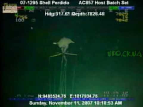 Youtube: Необычное существо под водой