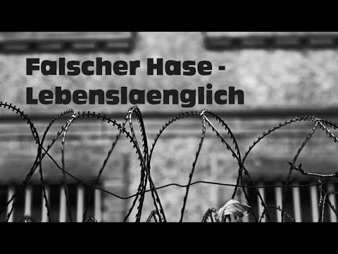Youtube: Falscher Hase - Lebenslänglich (Dezember 2011) [DJ Mix | Deep House]