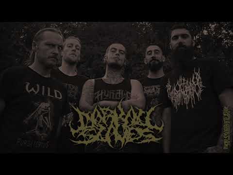 Youtube: Darkall Slaves - "Cacophrenic Apperception" (Promo 2019 | New Standard Elite)