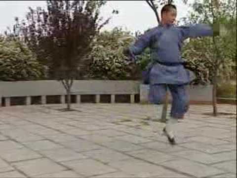 Youtube: Shaolin Kung Fu Steel Fan Demo