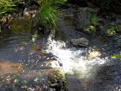 Youtube: Erholsame Klänge aus der Natur