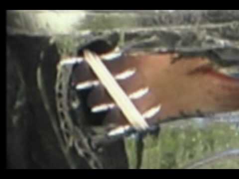 Youtube: "Flying Rods"  Strange Phenomenon!