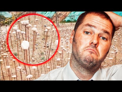 Youtube: China is planting Fields of Stones stuck to Metal Bars - No, Really