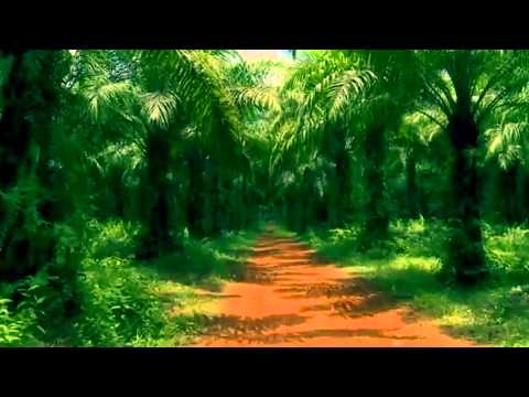 Youtube: The Cure - A Forest ( extended version )