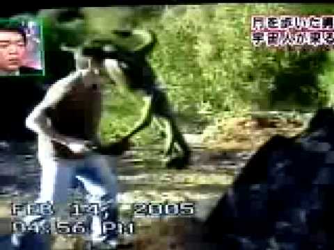 Youtube: Unknown Alien Creature grabs a tourist face