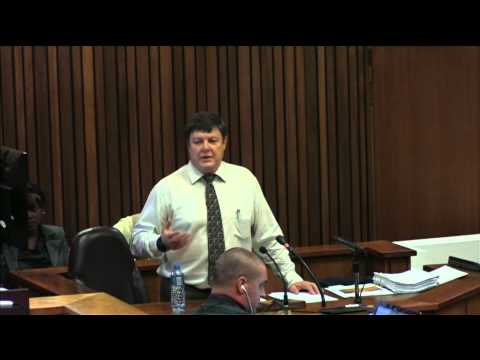 Youtube: Debora Patta's diary: Police on trial in Oscar Pistorius case