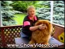 Youtube: How to Raise a Happy Healthy Chow Chow