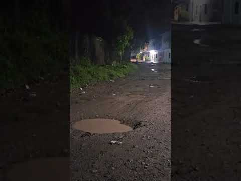 Youtube: Coyote recorre en una de las calles principales del Barrio Morazán, Reitoca.
