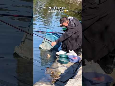 Youtube: Ставь лайк 😄 #рыбалка #рыба #рыбак #карп #карпфишинг #сазан #лещ #карась #фидер #спиннинг #плотва
