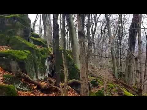 Youtube: Queth - zwischen den Bäumen
