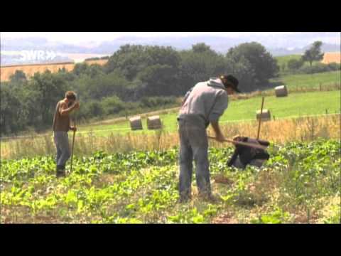 Youtube: Faktencheck: Ökologische Landwirtschaft | SWR Wissen