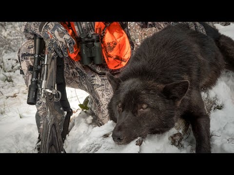Youtube: SHADE of BLACK - Wolf Hunting Montana
