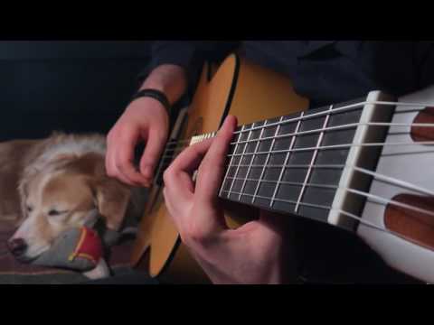 Youtube: The Last Of Us Fingerstyle Guitar Main Theme
