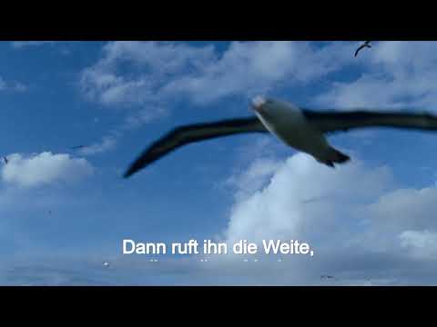 Youtube: Karat - Albatros