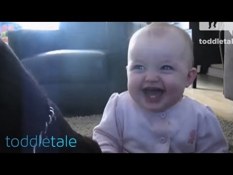 Youtube: Baby Girl Laughing Hysterically at Dog Eating Popcorn | Laughing Babies | toddletale