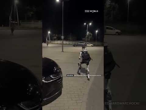 Youtube: Humanoid #boar-chasing #robot becomes Polish internet sensation
