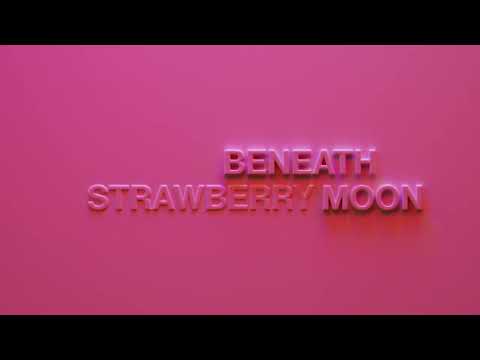 Youtube: Nick Cave & The Bad Seeds - Cinnamon Horses (Lyric Video)