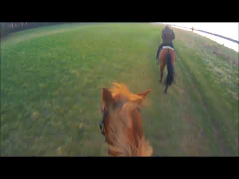 Youtube: In den Sonnenuntergang reiten...