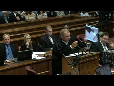 Youtube: Oscar Pistorius Trial: Wednesday 9 April 2014, Session 5