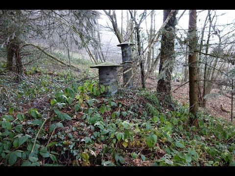 Youtube: Bunker Engine Start "funktionsfähig und einsatzbereit?" Verteidigungslinie Teil 2 (Lost Places)