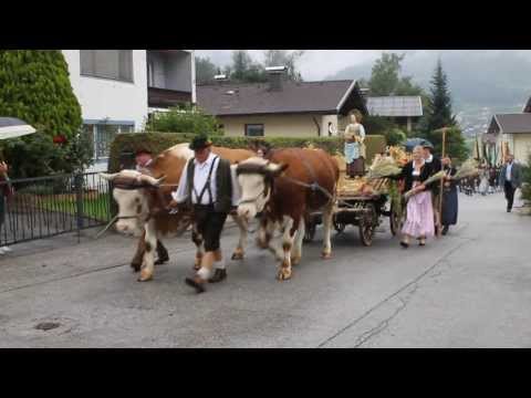 Youtube: Augsburger Ochsengespann für Heilige Notburga