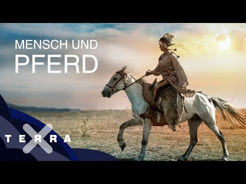 Youtube: Die ersten Reiter der Geschichte | Terra X