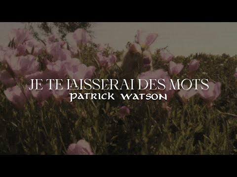 Youtube: Je te laisserai des mots (Normal version + Live version)