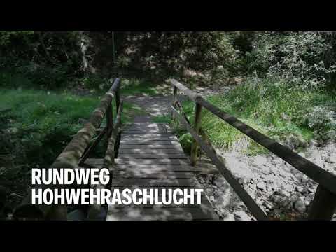 Youtube: Rundweg Hohwehraschlucht von Todtmoos aus