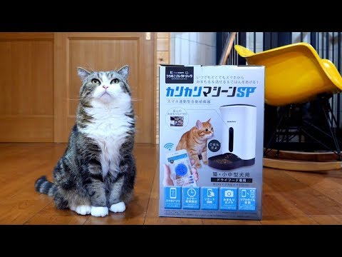 Youtube: 新しい給餌器とねこ。-The new automatic feeder and Maru&Hana.-