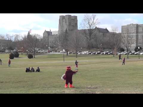 Youtube: Virginia Tech Harlem Shake