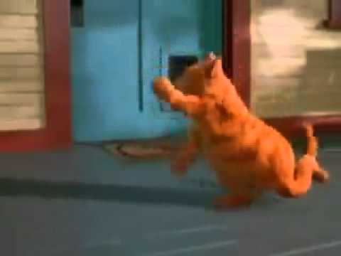Youtube: Garfield auf Türkisch
