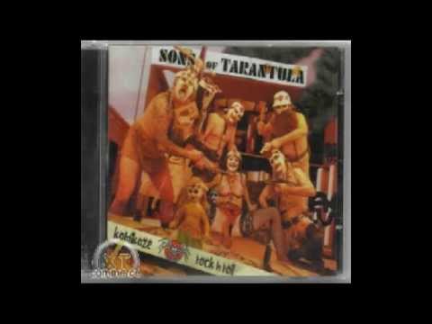 Youtube: Sons of Tarantula - Bringt alle um! (Wir sind Deutschland's letzte Punkband)