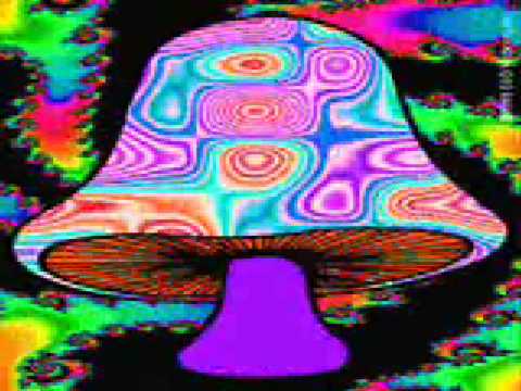Youtube: Sharigrama - Mexican Mushroom