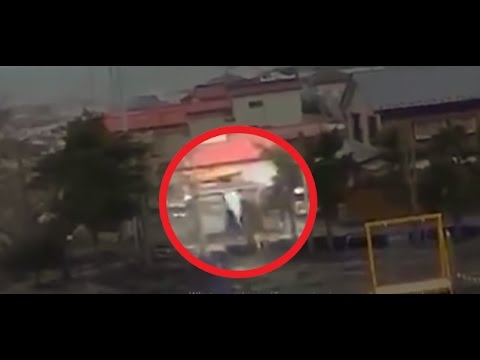 Youtube: During Japan Tsunami a strange creature was caught on camera - real footage