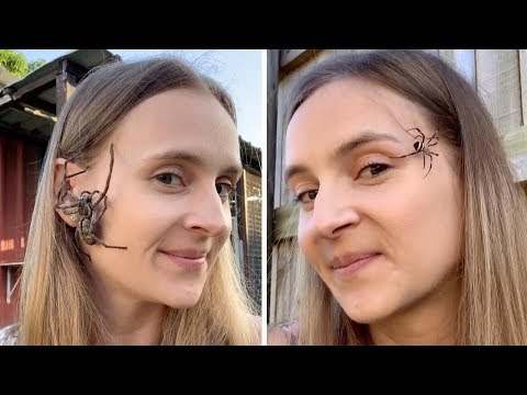 Youtube: Woman Lets Spiders Crawl On Face