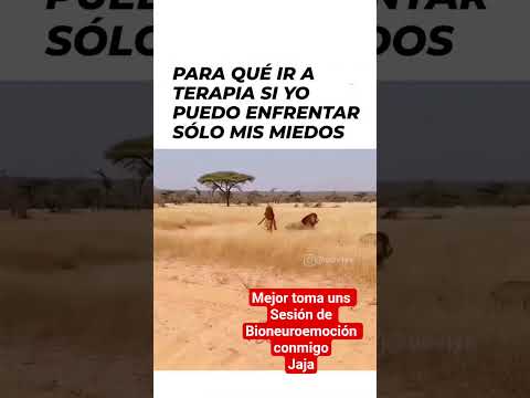 Youtube: Tú solo NO puedes trabajar profundo en tus emociones. Acude con EXPERTOS y Mentores calificados.