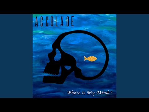 Youtube: Where Is My Mind