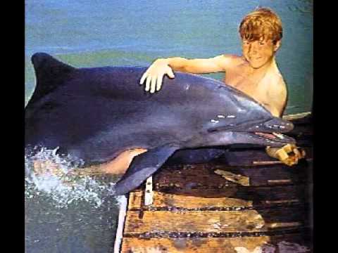 Youtube: flipper theme song