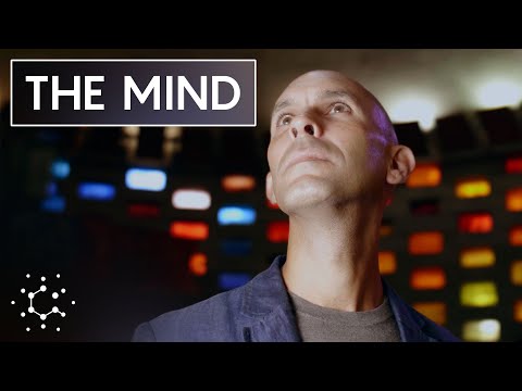 Youtube: The Scientific Problem of Consciousness
