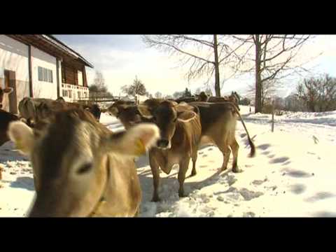 Youtube: Leben mit der Natur - Aus dem Alltag eines Biobauern Teil2