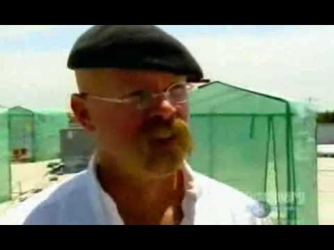 Youtube: MythBusters - Talking to plants - part1