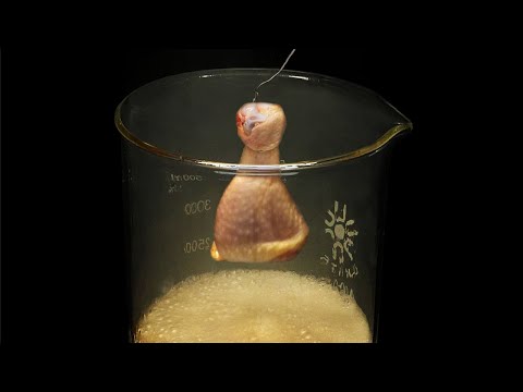Youtube: Vaporizing chicken in acid