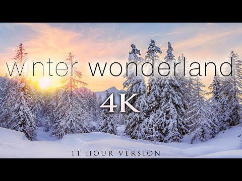 Youtube: (4K) 11 Hours of Winter Wonderland + Calming Hang Drum Music for Relaxation, Stress Relief [UHD]