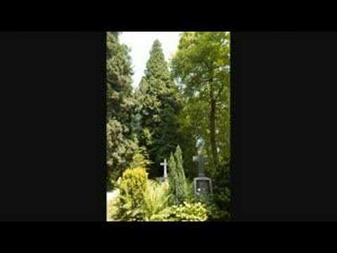 Youtube: Der Illenauer Waldfriedhof
