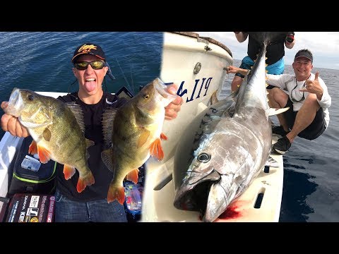 Youtube: Krieg am Wasser - Barschangler vs Thunfisch-Jäger | Fishing Wars