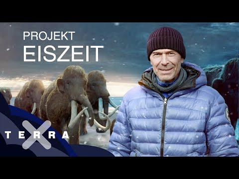 Youtube: Zurück in die Eiszeit in drei Schritten | Dirk Steffens | Terra X