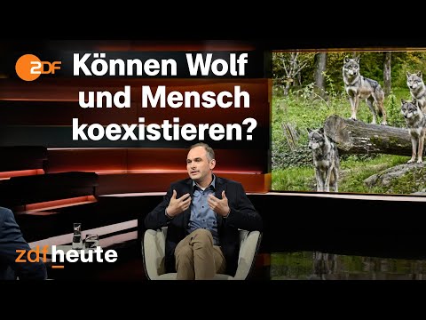 Youtube: Immer mehr Wölfe: Landwirt wütend auf "naive" Politik | Markus Lanz vom 25. Oktober 2023