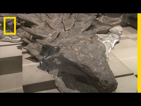 Youtube: Newly Unveiled Dinosaur Fossil is Best Preserved Of Its Kind | National Geographic